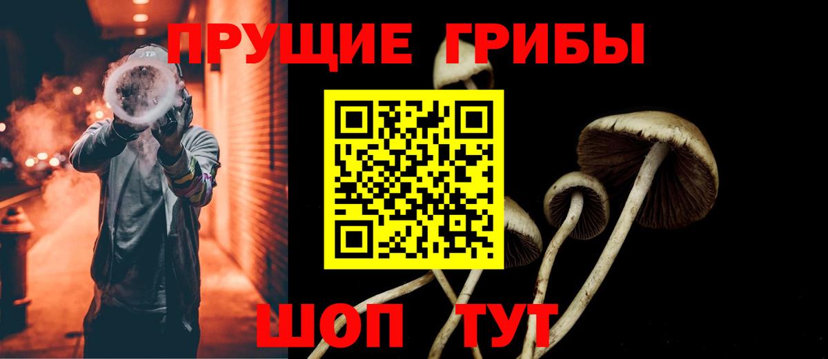 Галлюциногенные грибы прущие грибы  Вход с VPN  как найти закладки  Железногорск 